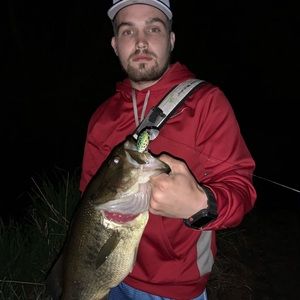 Meet your Posher, Steve